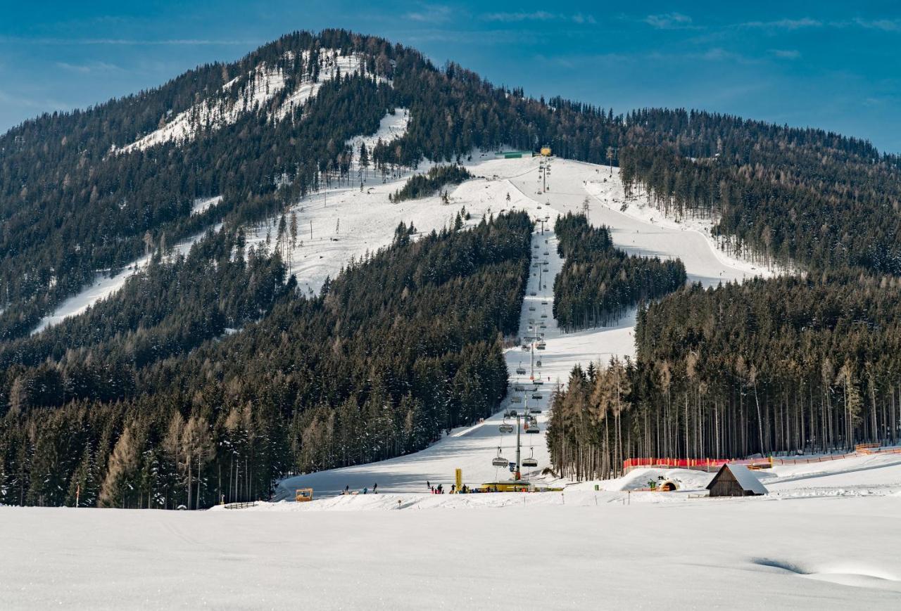 Ski In/Ski Out Appartement das kleine Bleiberger by Schladmingurlaub Exterior foto
